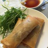 具だくさん春巻き