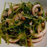 イカと豆苗の黒コショウ炒め