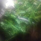 セリと油揚げのお浸し