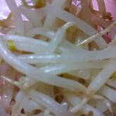 簡単！もやしのナムル 炒めてやみつきの味わい by保田 美幸さん