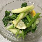 セロリの浅漬け