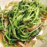 豆苗の炒めもの