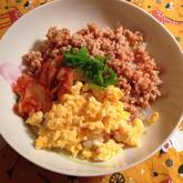 彩り鮮やか！簡単基本の三色丼 ご飯がすすむ 卵と鶏とキュウリで作る