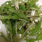 水菜の塩もみサラダ