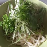 薬味たっぷり冷やしうどん