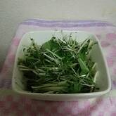 簡単もう一品！さっぱり水菜のサラダ