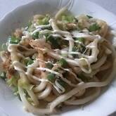 ネギたっぷり！究極のシンプル焼うどん