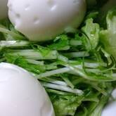 水菜とレタスのサラダ