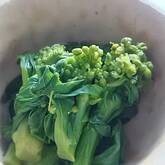 菜の花のからし和え