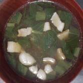 小松菜のゴマみそ汁