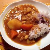 定番チキンカレー スパイスで本格的な味わい フライパンで簡単調理