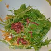 水菜とクルミのサラダ