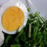 ゆで卵のゴマダレ