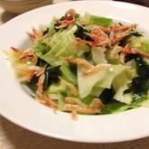 春キャベツとワカメのサラダ