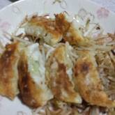 春キャベツの餃子