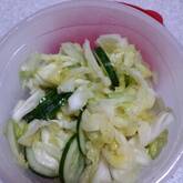 キャベツの浅漬け