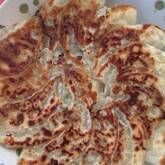 野菜たっぷり春キャベツの手作り焼き餃子