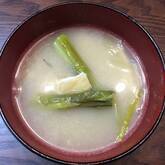 グリーンアスパラのみそ汁