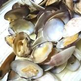 アサリのシンプル酒蒸し