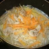 白菜と鶏むね肉のスープ