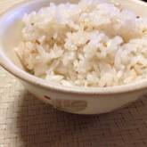 梅しそシラスご飯