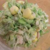 キャベツがおいしい！コールスロー by森岡 恵さん