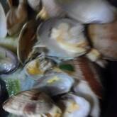 うまみたっぷり！バター香るあさりの酒蒸し by 崎野 晴子さん