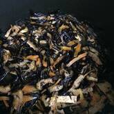 芽ひじきの煮物