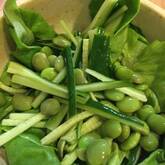 グリーンサラダ