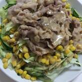 豚とレタスのしゃぶサラダ