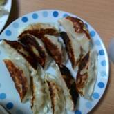 お店の味！餃子の作り方 プリプリ海老入り おさえておきたい味