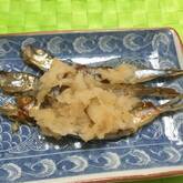 シシャモのおろし和え