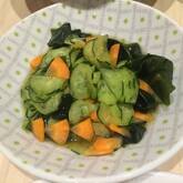 ワカメとキュウリの酢の物