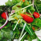 イチゴのサラダ