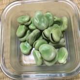 塩ゆでソラ豆
