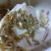 青ネギとジャコの冷ややっこ
