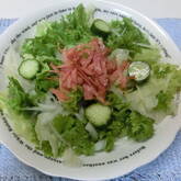 グリーンサラダ