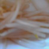 モヤシのお浸し