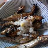 サンマ・ハタハタ盛り