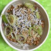 納豆とジャコのせご飯