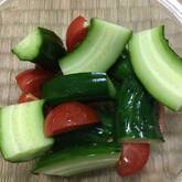 パリパリキュウリ