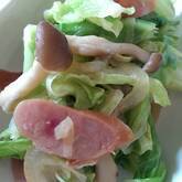 すぐ完成！豚肉とキャベツシンプル炒め