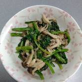 ホウレン草とエノキのゴマ和え