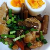 鶏もも肉とたっぷり根菜の煮物