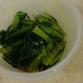小松菜のゴマ和え