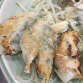 春キャベツの餃子