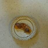 カボチャのベーコン巻き