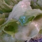 さっぱりレタス