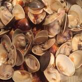 うまみたっぷり！バター香るあさりの酒蒸し by 崎野 晴子さん