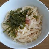 薬味たっぷり冷やしうどん